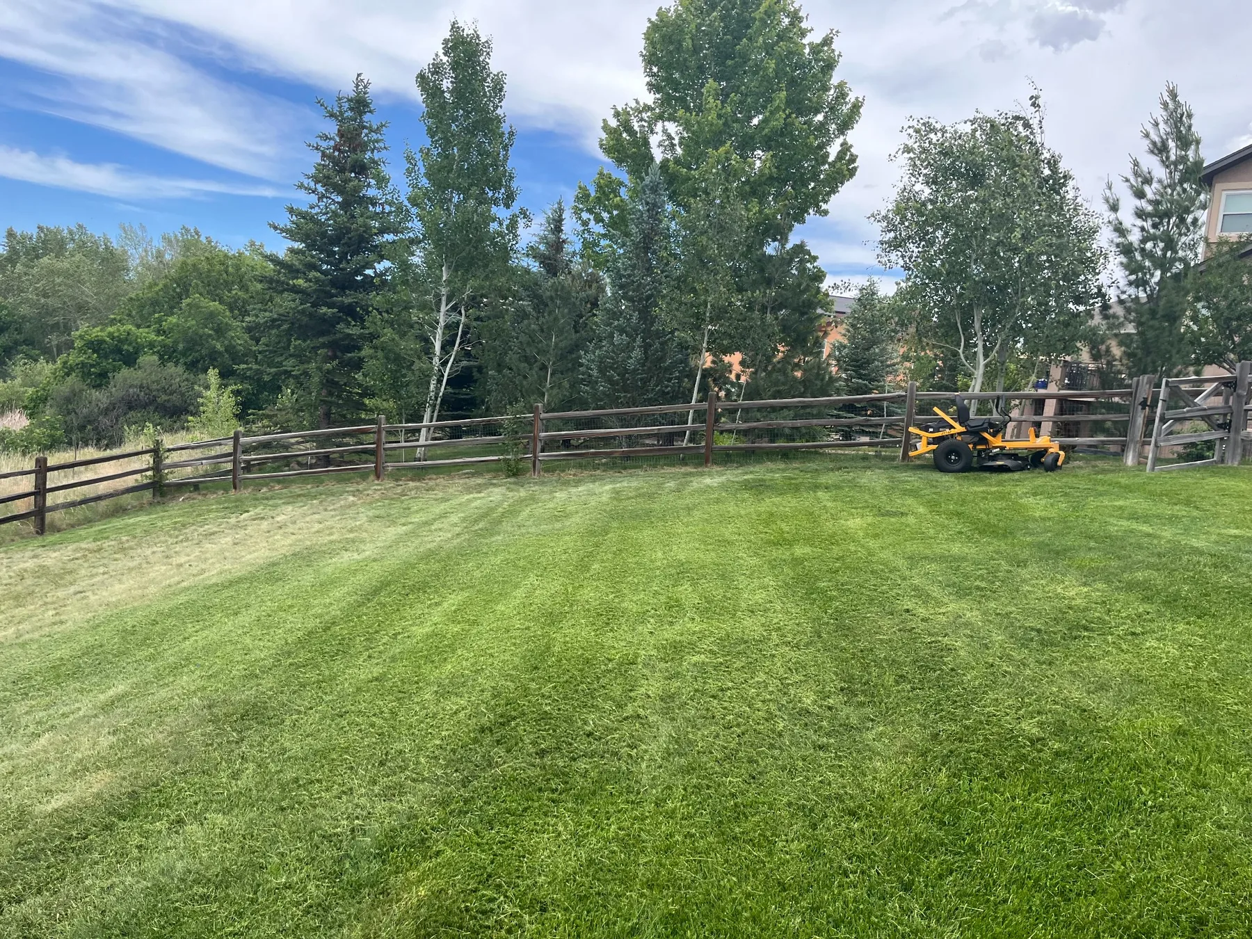 Mower on maintained lawn
