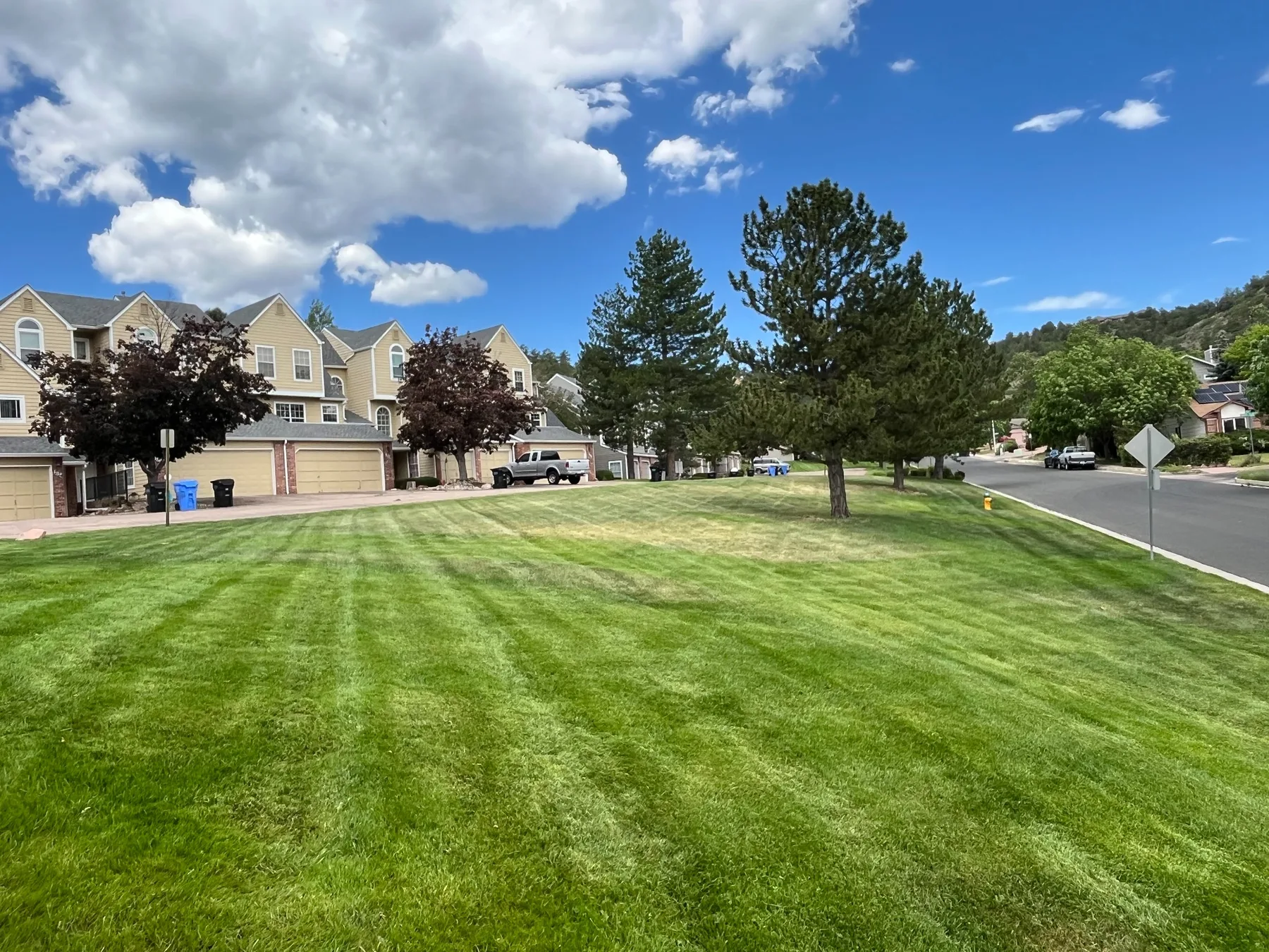 Striped lawn after professional mowing